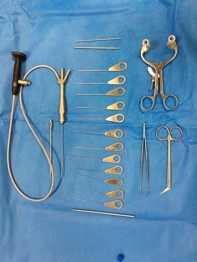 Sialoendoscopia. | HOSPITAL NUESTRA SEÑORA DEL ROSARIO ep sialoendoscopia