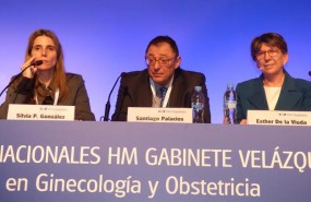 ep xv jornadas nacionales ginecologia hm gabinete velazquez