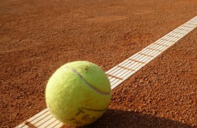 tenis pelota tierra tenis pelota tierra