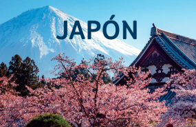 1571302989 tuijapon 2019 2020