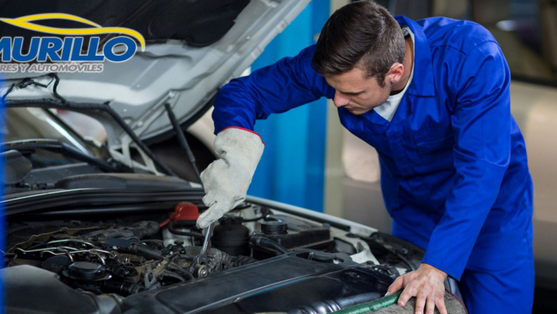 1650870557 carbonilla del motor 