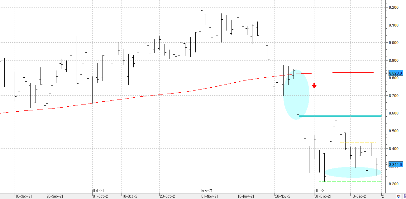 c171221ibex