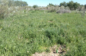 captura de pantalla 2025 02 11 a les 184358