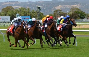 carrera caballos carrera caballos