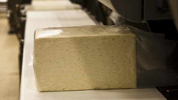 Dairy Crest Group (LON:DCG) Rating Reconfirmed at Shore Capital Today
