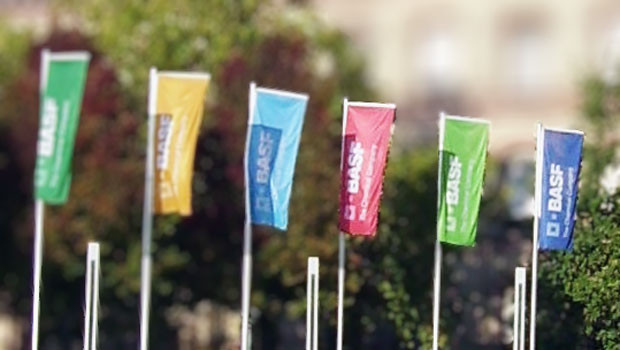 Share Cast BASF reports steady sales, though pricing and currency hit earnings ...