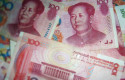 dl chinese yuan renminbi peoples bank of china beijing peoples republic of china prc currency cash pb
