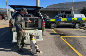 ep agentes forestales de la comunidad de madrid junto a un perro de la unidad canina