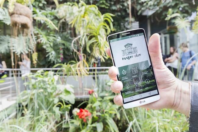 App 'RJB Museo Vivo' del Jardín Botánico | DANIEL SANTAMARIA ep app rjb museo vivo del jardin botanico