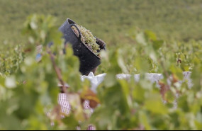 ep archivo   explotacion agraria en andalucia