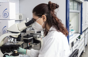 ep archivo   oryzon genomics 20260514171004