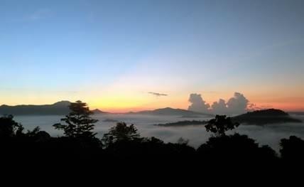 Bosques en Borneo (Malasia) | CSIC ep bosquesborneo malasia