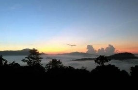 ep bosquesborneo malasia