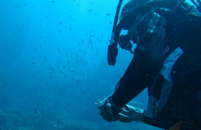 ep buceador submarinista submarinismo especies uicn agua mar mediterraneo