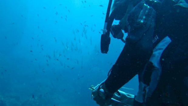 ep buceador submarinista submarinismo especies uicn agua mar mediterraneo