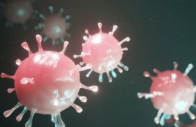 ep coronavirus 20200325185603 ep coronavirus 20200325185603