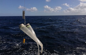 ep el ieo evalua la poblacion de caballa en el cantabrico y golfo de vizcaya