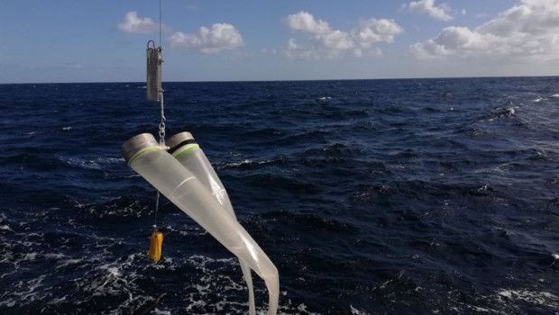 ep el ieo evalua la poblacion de caballa en el cantabrico y golfo de vizcaya