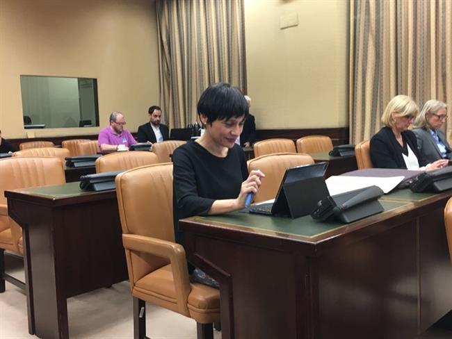 La diputada socialista Rocío de Frutos en el Congreso | TWITTER ROCÍO DE FRUTOS ep la diputada socialista rociofrutoscongreso