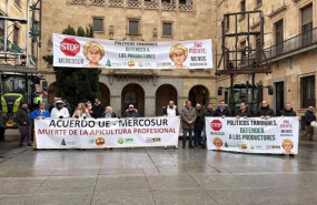 ep los apicultores de salamanca se concentran ante la subdelegacion del gobierno en salamanca