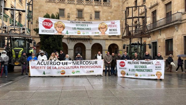 ep los apicultores de salamanca se concentran ante la subdelegacion del gobierno en salamanca