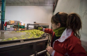ep trabajador industria alimentaria