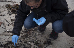 ep un voluntario recoge pellets en la playa de samil a 10 de enero de 2024 en vigo pontevedra