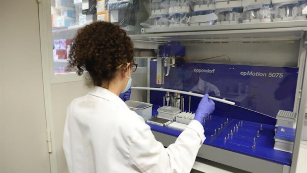 ep una biologa trabaja con un robot pipeteador para cargar placas de pcr