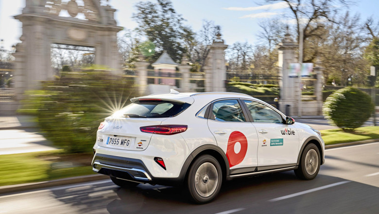 wible 20250807142441 