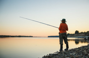 1626244112 farmacia molino de la vega ma s molestias para los turistas este verano el mosquito comu n el mosquito tigre o la mosca negra