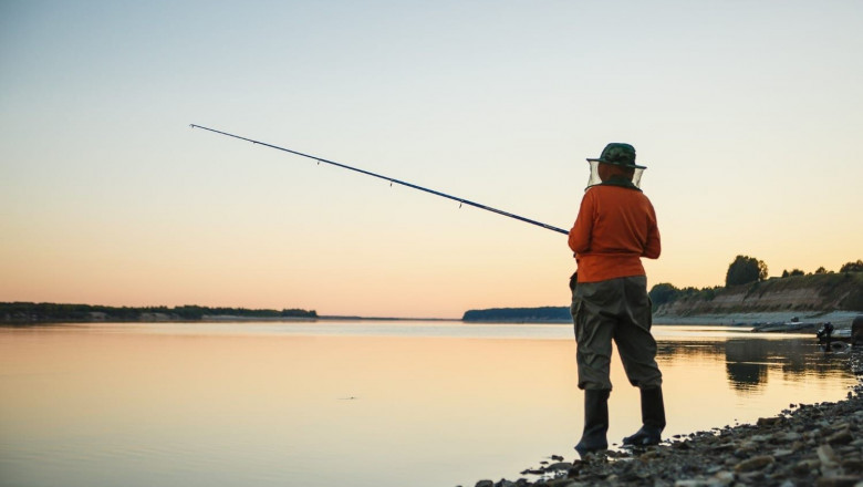 1626244112 farmacia molino de la vega ma s molestias para los turistas este verano el mosquito comu n el mosquito tigre o la mosca negra