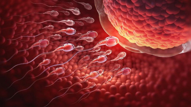 1627890137 fertilidad masculina