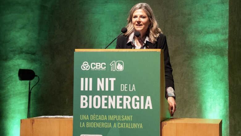 captura de pantalla 2026 03 05 a les 04648