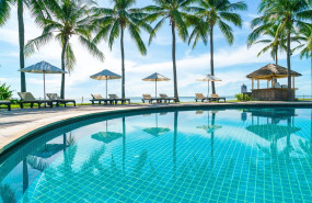 certificado blue leaf 2 certificado blue leaf 2