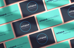 dl octopus renewables infrastructure trust wind farm renewable energy investor logo dl octopus renewables infrastructure trust wind farm renewable energy investor logo