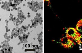 ep a la izquierda nanocubos en ella puede verse que el tamano de los nanocubos es cercano a 20 nm a