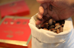 ep agro  nestle reducira 2500 toneladas de emisiones contaminantes usando cascarilla de cacao