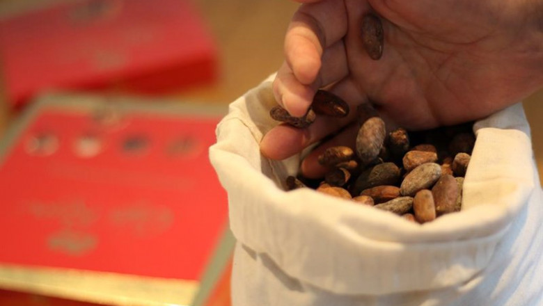 NESTLÉ ep agro nestle reducira 2500 toneladas de emisiones contaminantes usando cascarilla de cacao