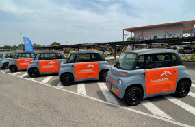 ep arcelor mittal adquiere nueve citron ami