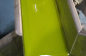 ep archivo   produccion de aceite de oliva