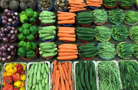 ep archivo   verduras y hortalizas espanolas