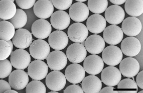 ep microcapsulasla diabetes tipo1
