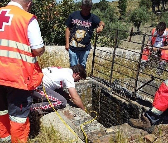 Voluntarios de Cruz Roja buscan pistas sobre Francisca Cadenas en Hornachos | CRUZ ROJA EXTREMADURA ep voluntarioscruz roja buscan pistasfrancisca cadenashornachos