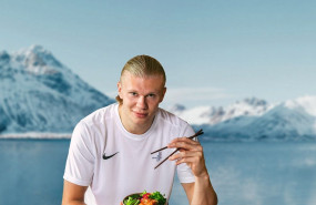 haaland copy sullivan dan seafood web 1 haaland copy sullivan dan seafood web 1