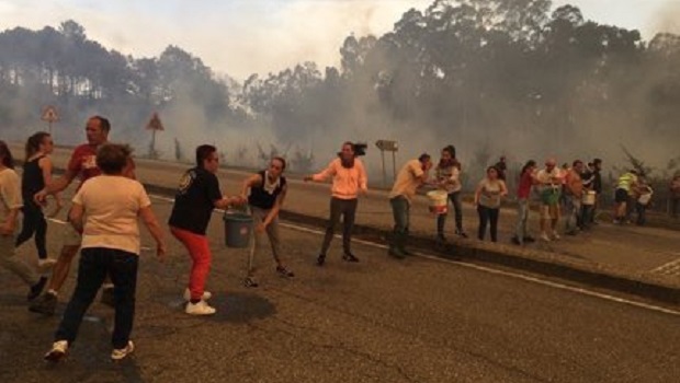Ciudadanos colaborando en las tareas de extinción en Portugal | TWITTER incendios portgual octubre 2017
