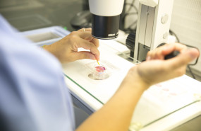 laboratorio fiv biloga 20241023152423 