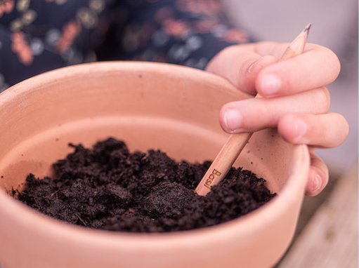 1590741499 captura de pantalla 2020 05 29 a las 103731