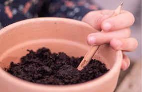 1590741499 captura de pantalla 2020 05 29 a las 103731