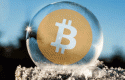bitcoinburbuja bitcoinburbuja