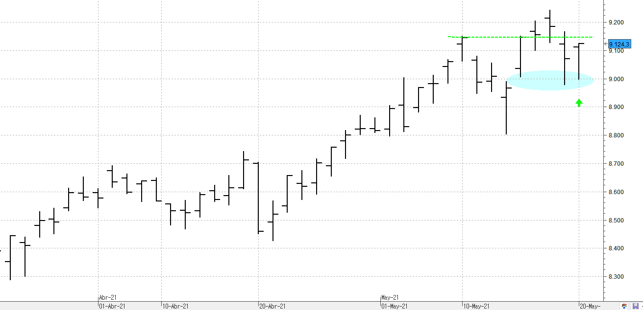 c200521ibex